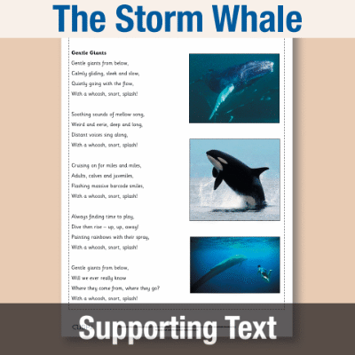 Y1 Reading (The Storm Whale) Supporting Texts ST