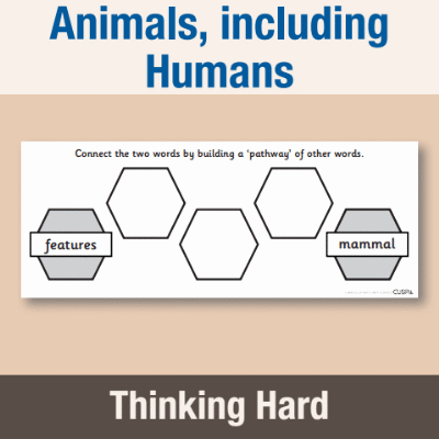 Image of Year 1 Science (Animals, including Humans) Pre-Filled Thinking Hard  CUSP Resource