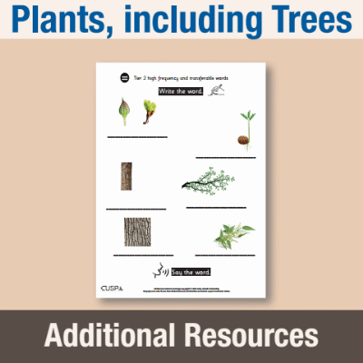 Image of Year 1 Science (Plants, including Trees) AR1 High Frequency Transferable Words CUSP Resource