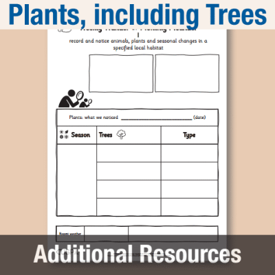 Image of Year 1 Science (Plants, including Trees) AR2 Weekly Wander CUSP Resource