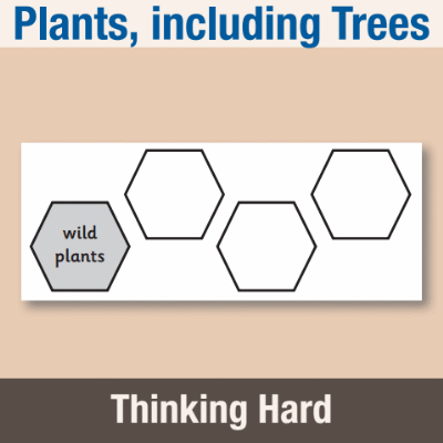 Image of Year 1 Science (Plants, including Trees) Pre-Filled Thinking Hard  CUSP Resource