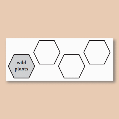Image of Year 1 Science (Plants, including Trees) Pre-Filled Thinking Hard  CUSP Resource