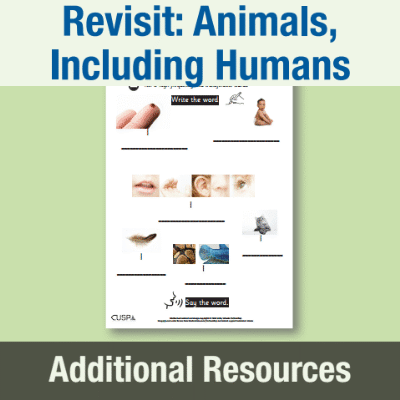 Y1 Science (Revisit: Animals, Including Humans) AR High Frequency and Transferable Words