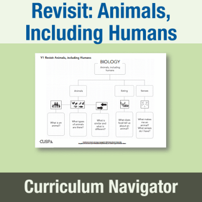 Y1 Science (Revisit: Animals, Including Humans) Curriculum Navigator CN