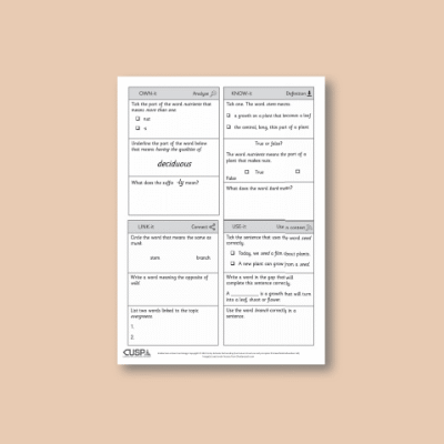 Y1 Science (Revisit: Plants) 1 Vocabulary Questions VQ