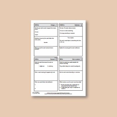 Y2 Geography (Human and Physical Features) Vocabulary Questions VQ