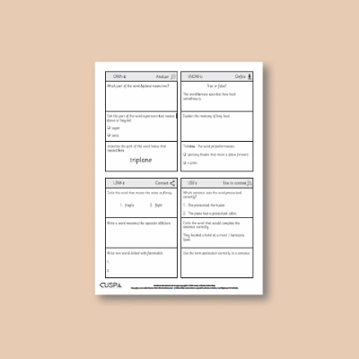 Y2 History (Events Beyond Living Memory - Flight) Vocabulary Questions VQ