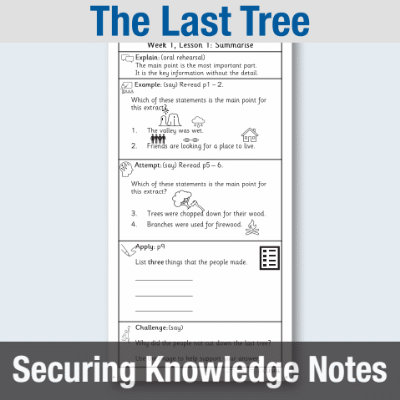 Y2 Reading (The Last Tree) Knowledge Notes SKN
