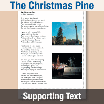 Y2 Reading (The Christmas Pine) Supporting Text ST