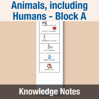 Image of Year 02 Science (Animals, including Humans - Block A) Knowledge Notes CUSP ResourceAccess Autumn 58.5x234mm Printed in Black;    3 Leaf Set in pads of 16