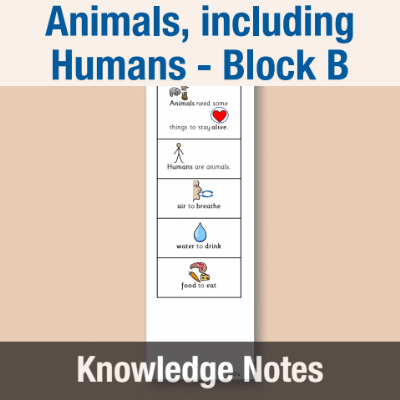 Image of Year 02 Science (Animals, including Humans - Block B) Knowledge Notes CUSP ResourceAccess Autumn 58.5x234mm Printed in Black;    4 Leaf Set in pads of 16