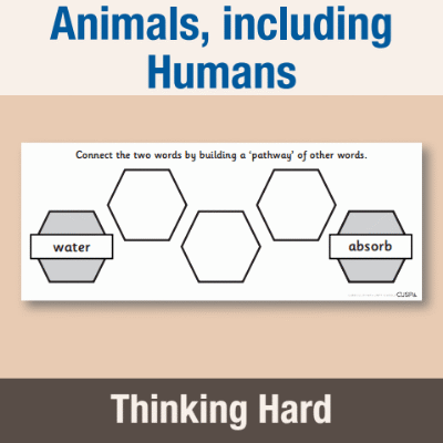 Image of Year 2 Science (Animals, including Humans) Pre-Filled Thinking Hard  CUSP Resource