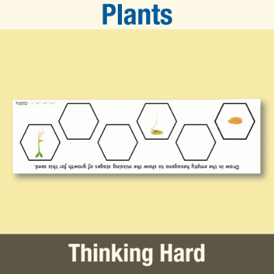 Image of Year 2 Science (Plants) Pre-Filled Thinking Hard  CUSP Resource