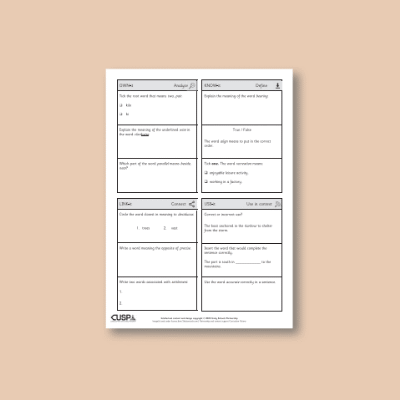 Y3 Geography (Fieldwork and Map Skills: Human and Physical Geography) Vocabulary Questions VQ