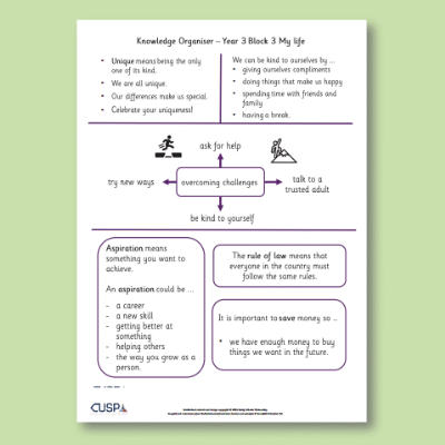 Image of Year 3 PSHE (My Life) Knowledge Oragniser KO CUSP Resource