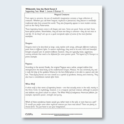 Y3 Reading (Wildsmith - Into the Dark Forest 2) Supporting Text ST