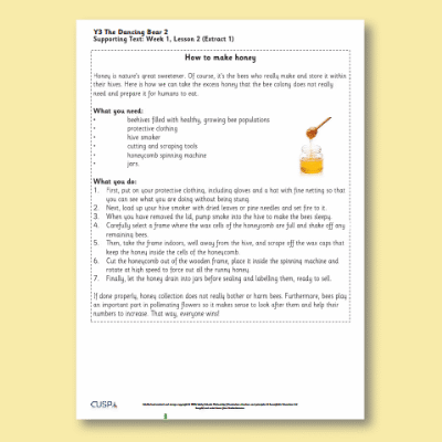 Y3 Reading (The Dancing Bear 2) Supporting Text ST