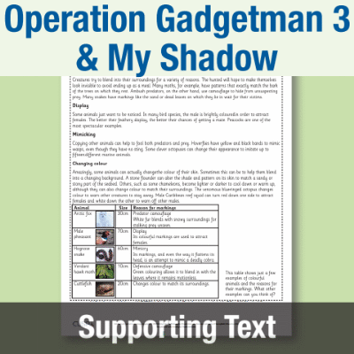 Y3 Reading (Operation Gadgetman 3 & My Shadow) Supporting Texts ST