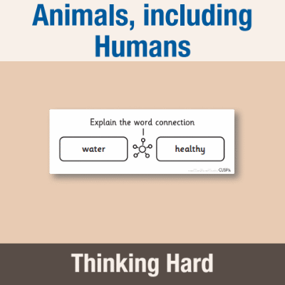Image of Year 3 Science (Animals, including Humans) Pre-Filled Thinking Hard  CUSP Resource