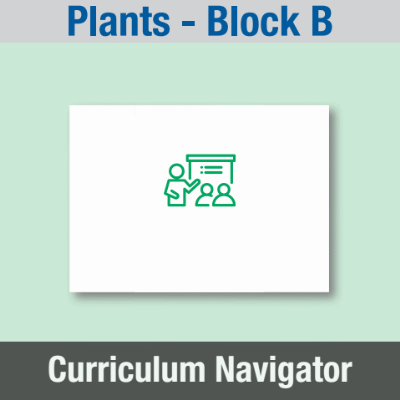 Image of Year 03 Science (Plants - Block B) Curriculum Navigator CUSP ResourceAccess Summer 140x195mm Printed in Black;    1 Leaf Set in pads of 16