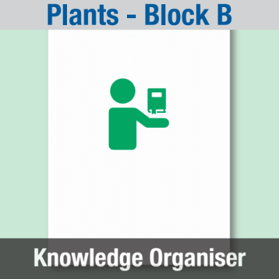 Image of Year 03 Science (Plants - Block B) Knowledge Organiser CUSP ResourceAccess Summer 195x277mm Printed in Black;    1 Leaf Set in pads of 16