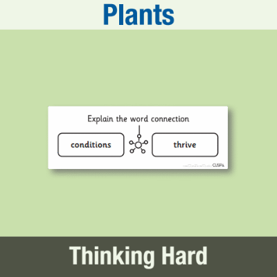 Image of Year 3 Science (Plants) Pre-Filled Thinking Hard  CUSP Resource
