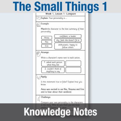 Y4 Reading (The Small Things 1) Knowledge Notes KN