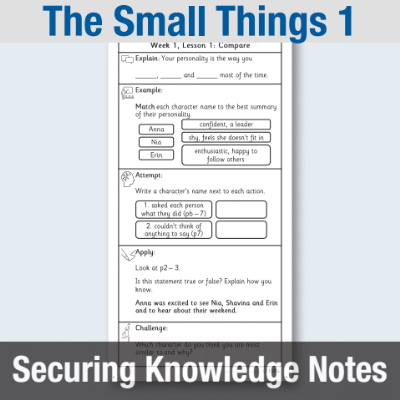Y4 Reading (The Small Things 1) Knowledge Notes SKN