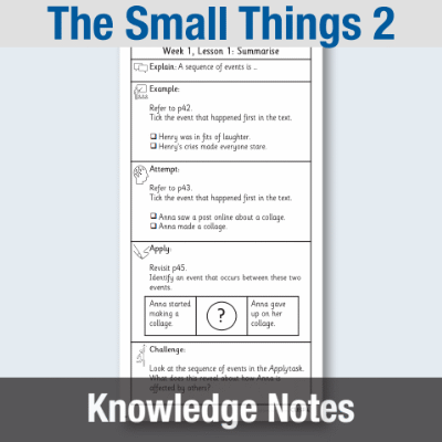 Y4 Reading (The Small Things 2) Knowledge Notes KN