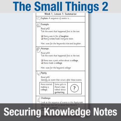 Y4 Reading (The Small Things 2) Knowledge Notes SKN
