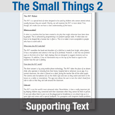 Y4 Reading (The Small Things 2) Supporting Text ST