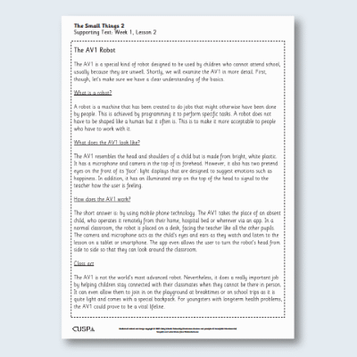 Y4 Reading (The Small Things 2) Supporting Text ST