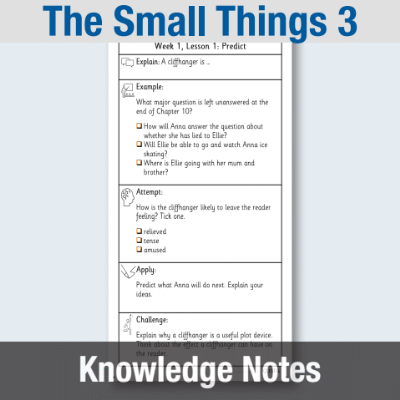Y4 Reading (The Small Things 3) Knowledge Notes KN