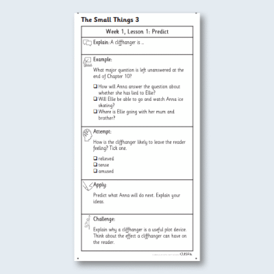 Y4 Reading (The Small Things 3) Knowledge Notes KN