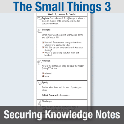 Y4 Reading (The Small Things 3) Knowledge Notes SKN