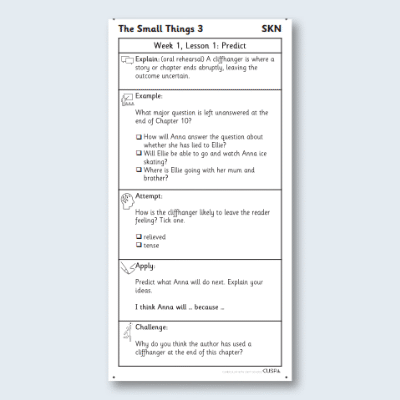 Y4 Reading (The Small Things 3) Knowledge Notes SKN