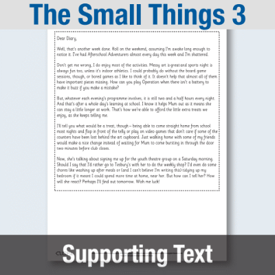 Y4 Reading (The Small Things 3) Supporting Text ST