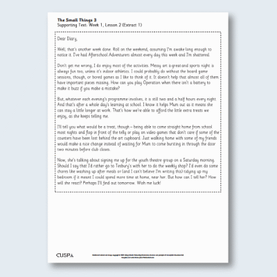 Y4 Reading (The Small Things 3) Supporting Text ST