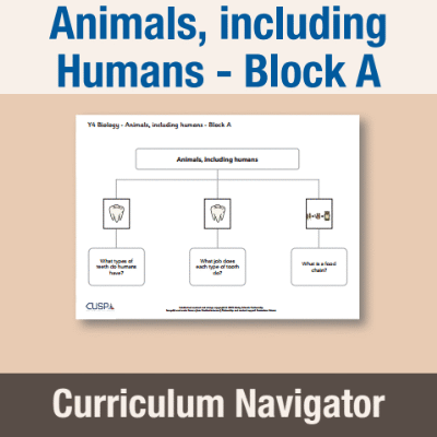 Image of Year 04 Science (Animals, including Humans - Block A) Curriculum Navigators CUSP ResourceAccess Autumn 140x195mm Printed in Black;    1 Leaf Set in pads of 16