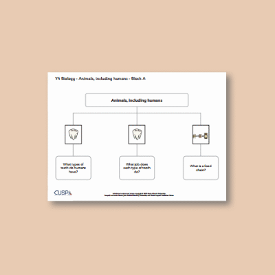 Image of Year 04 Science (Animals, including Humans - Block A) Curriculum Navigators CUSP ResourceAccess Autumn 140x195mm Printed in Black;    1 Leaf Set in pads of 16