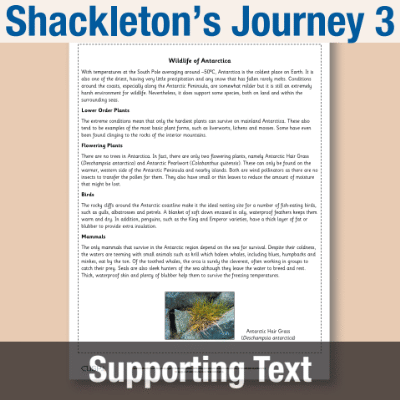 Y5 Reading (Shackleton's Journey 3) Supporting Texts ST