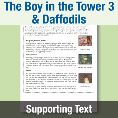 Y5 Reading (The Boy in the Tower 3 & Daffodils) Supporting Text ST