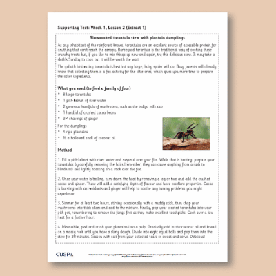 Y5 Reading (The Explorer 3) Supporting Texts ST