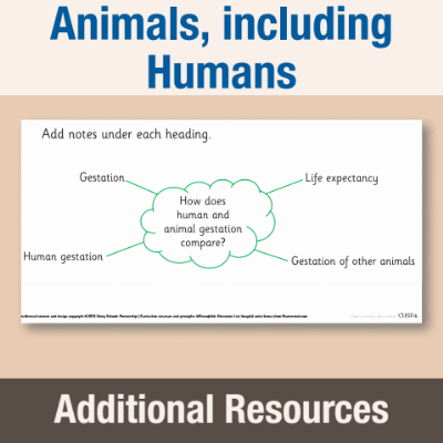Image of Year 5 Science (Animals, including Humans) AR Gestation Mind Map CUSP Resource