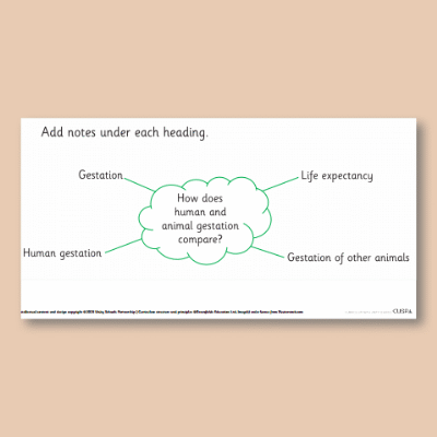 Image of Year 5 Science (Animals, including Humans) AR Gestation Mind Map CUSP Resource