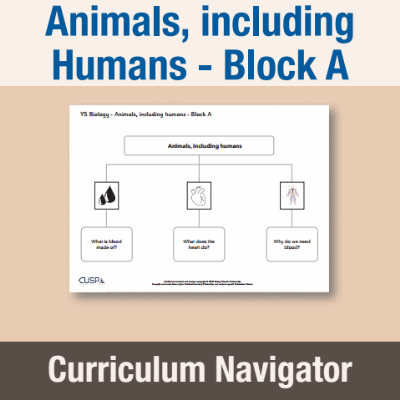 Image of Year 05 Science (Animals, including Humans - Block A) Curriculum Navigator CUSP ResourceAccess Autumn 140x195mm Printed in Black;    1 Leaf Set in pads of 16