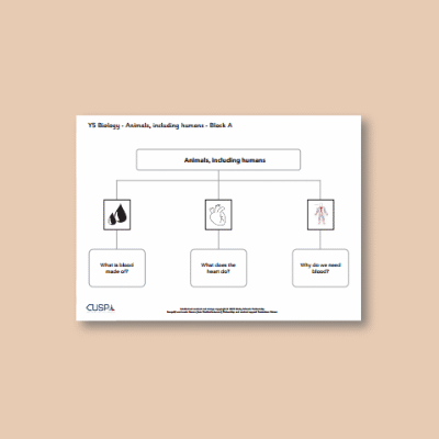 Image of Year 05 Science (Animals, including Humans - Block A) Curriculum Navigator CUSP ResourceAccess Autumn 140x195mm Printed in Black;    1 Leaf Set in pads of 16