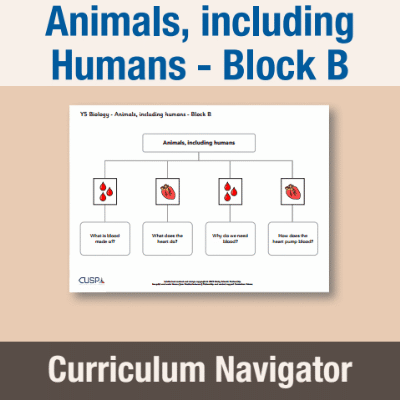 Image of Year 05 Science (Animals, including Humans - Block B) Curriculum Navigator CUSP ResourceAccess Autumn 140x195mm Printed in Black;    1 Leaf Set in pads of 16
