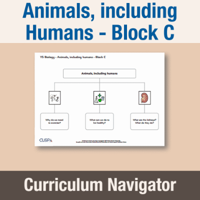 Image of Year 05 Science (Animals, including Humans - Block C) Curriculum Navigator CUSP ResourceAccess Autumn 140x195mm Printed in Black;    1 Leaf Set in pads of 16
