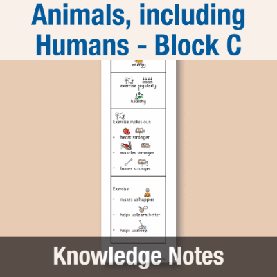 Image of Year 05 Science (Animals, including Humans - Block C) Knowledge Notes CUSP ResourceAccess Autumn 58.5x234mm Printed in Black;    3 Leaf Set in pads of 16